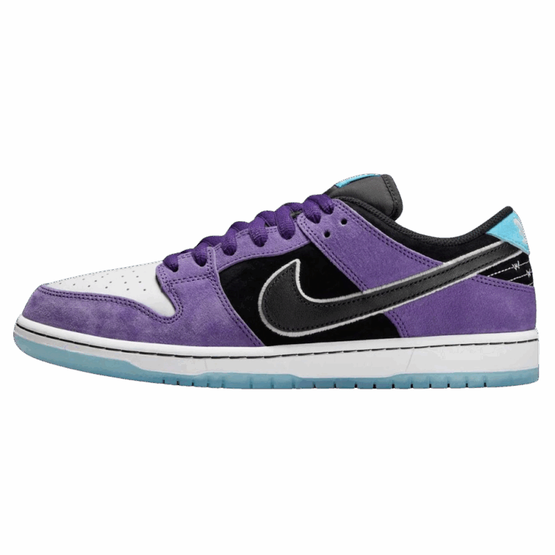 Hayley Wilson SB Dunk Low 'Court Purple'
