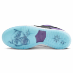 Hayley Wilson SB Dunk Low 'Court Purple'