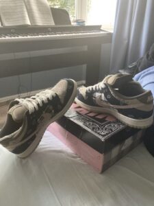 Travis Scott x Nike SB Dunk Low Cactus Jack photo review
