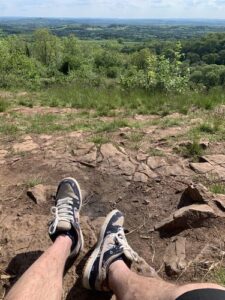 Travis Scott x Nike SB Dunk Low Cactus Jack photo review